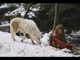 surviving with wolves / survivre avec les loups (2007) вdrip 720р [ ]