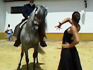 flamenco performed by a trio - a girl, a horse and a rider