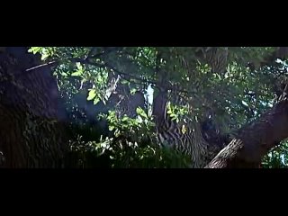 druids / vercingetorix (2001) dvdrip - generalfilm